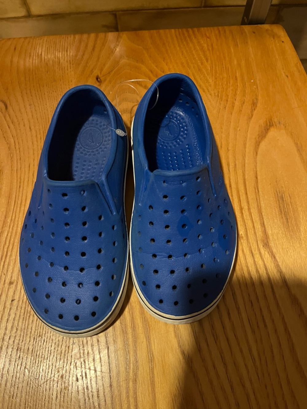 Native Kids Slip-On Jefferson Water Shoes in Royal Blue